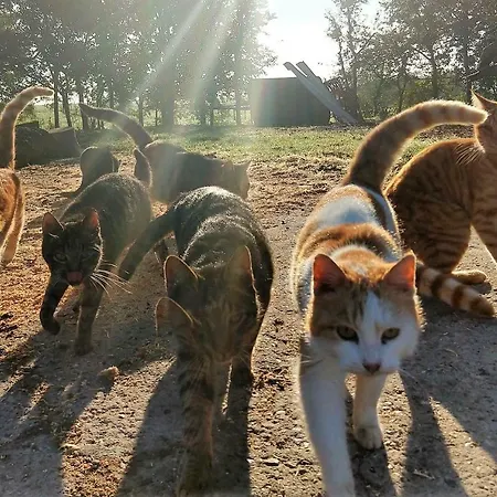 Piratennest * Sankt Peter-Ording