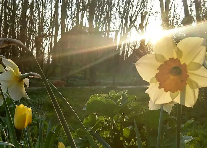 Apartamento Piratennest *