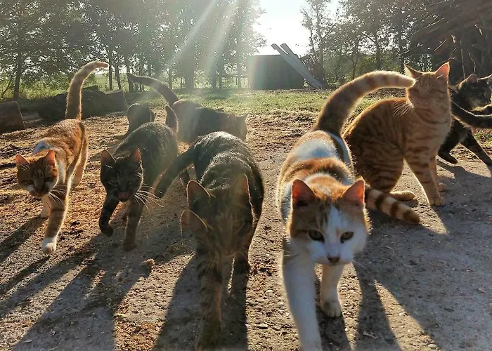 Piratennest * Sankt Peter-Ording