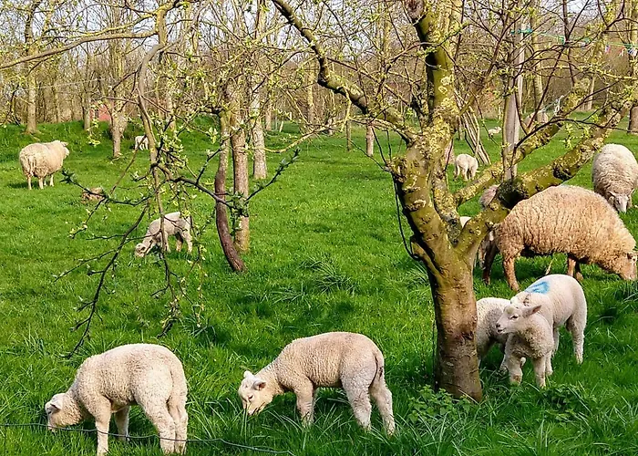 Apartamento Piratennest Sankt Peter-Ording